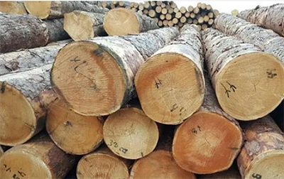 What kind of wood is cypress